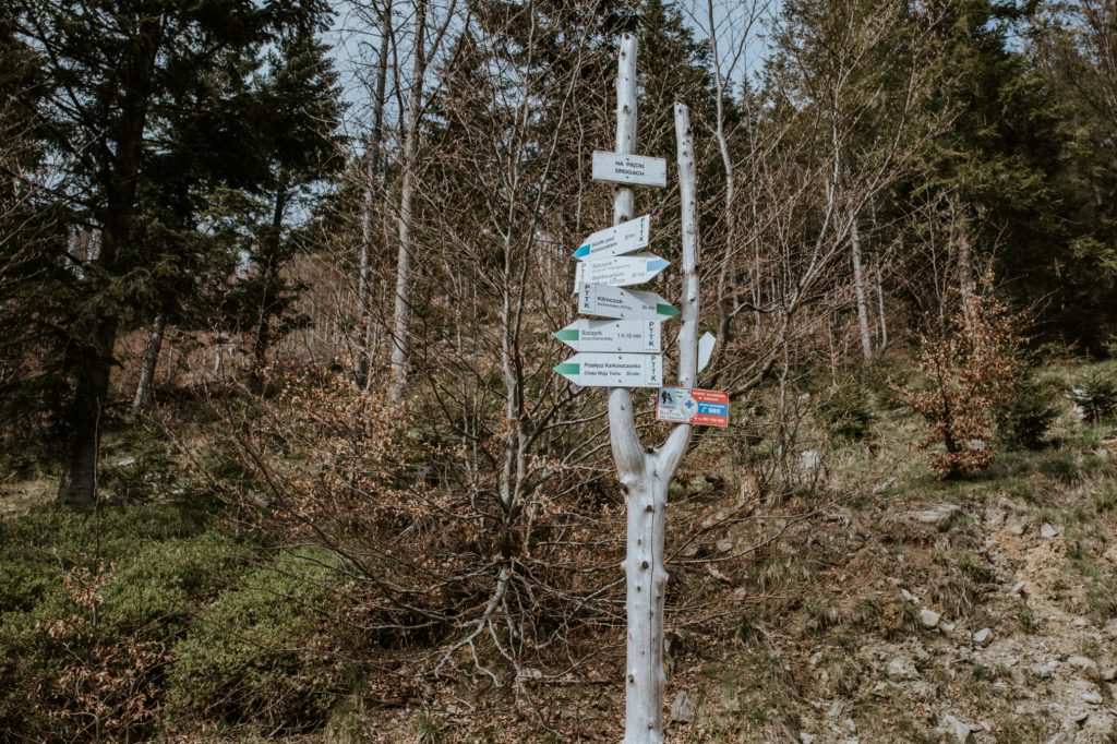 Jaki szlak na Klimczok jest najprostszy? 